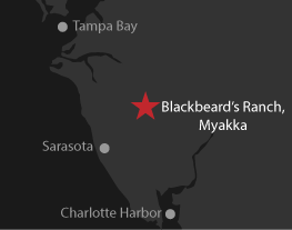 Blackbeards Ranch Map